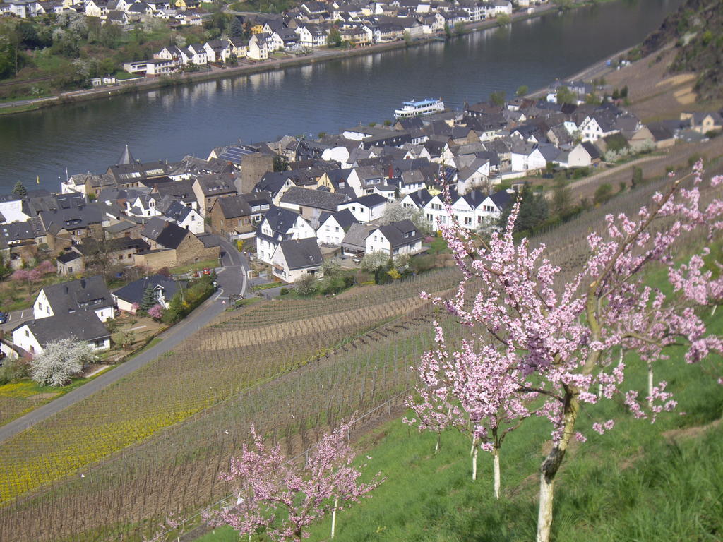 Winzerhof Brachtendorf Alken Eksteriør bilde