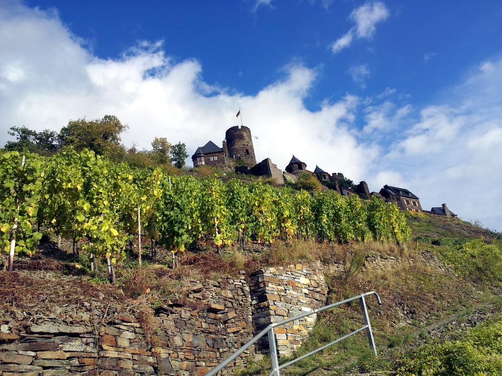 Winzerhof Brachtendorf Alken Eksteriør bilde
