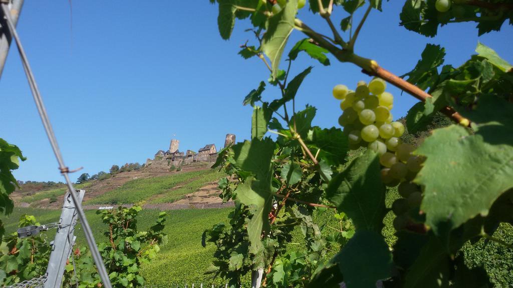 Winzerhof Brachtendorf Alken Eksteriør bilde